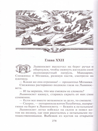 Коты-воители. Четвертый оруженосец