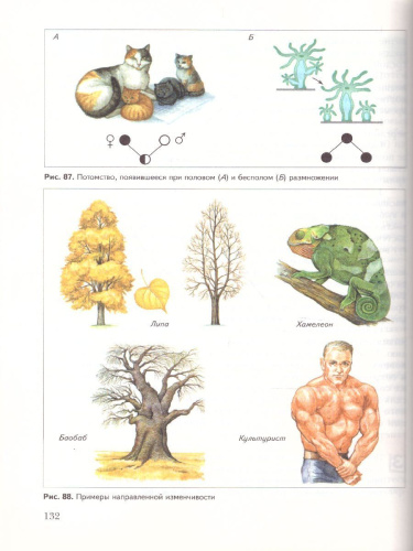 Биология 9 класс. Учебник. ФГОС