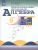 Алгебра 9 класс. Дидактические материалы к учебнику Макарычева Ю.Н. Алгебра 9 класс. Дидактические материалы к учебнику Макарычева Ю.Н.