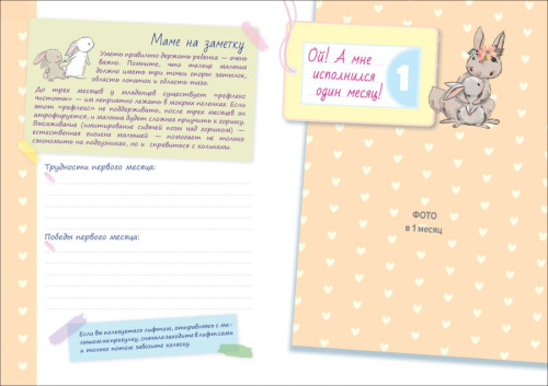 Моя дочка от рождения до года / От рождения до года (Росмэн)