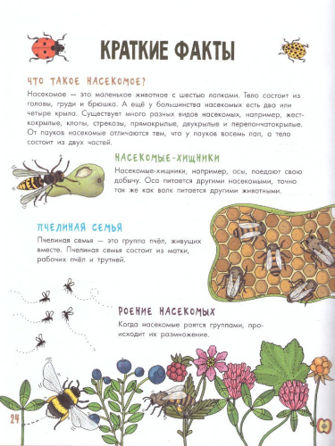 Насекомы /МояПервКнига