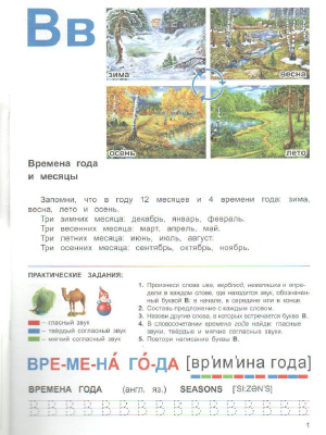 55600338-2