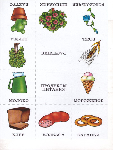 Назови одним словом
