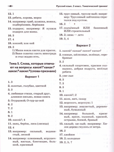 Русский язык 2 класс. Ступеньки к ВПР. Тематический тренинг