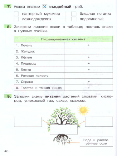 Мишакина Подготовка к ВПР по окружающему миру 3 класс (Бином)