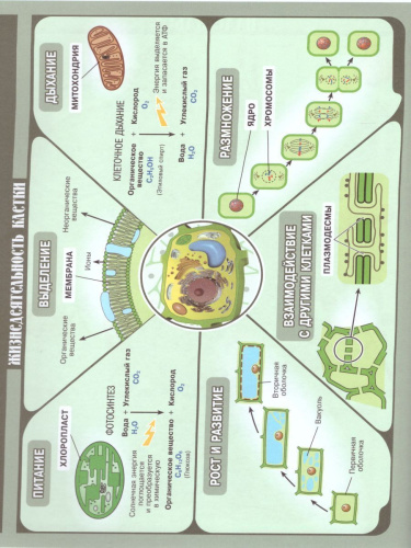 Биология 7 класс. Многообразие живых организмов.. Рабочая тетрадь. С тестовыми заданиями ЕГЭ. Вертикаль. ФГОС