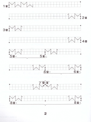 55624174-3