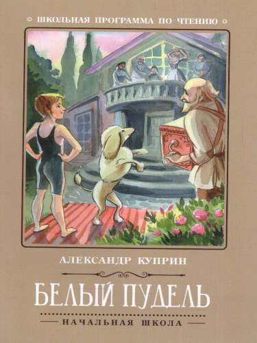 Белый пудель
