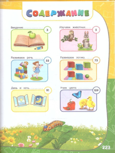 Годовой курс занятий 1-2 лет. Все необходимое в одной книге