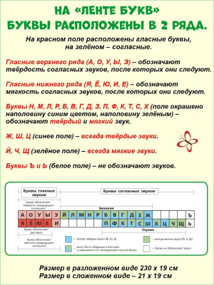 55640174-2