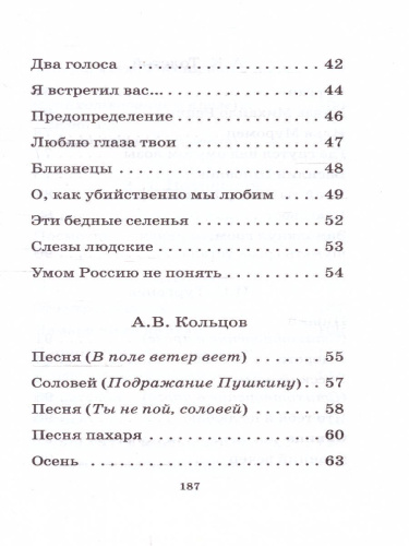 Русская поэзия XIX века