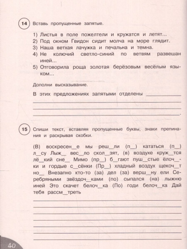 Русский язык 4 класс. Я готовлюсь к ВПР. Ваш дом репетитор начальной школы