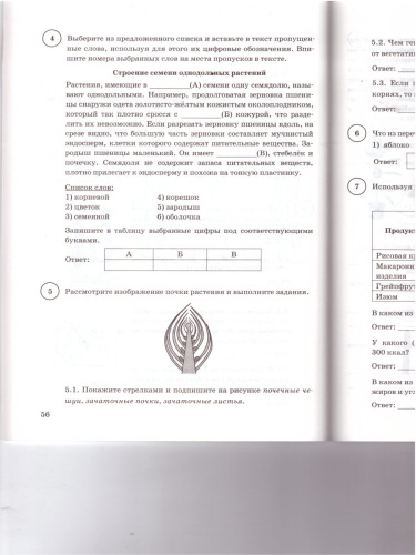 ВПР Биология 6 класс. 15 вариантов. Типовые задания ФГОС