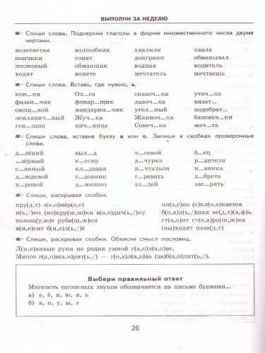 Тренировочные примеры по русскому языку 2 класс. Повторение и закрепление. ФГОС