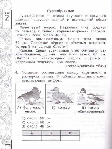ВПР Читательская грамотность 2 класс. 10 вариантов. ФГОС