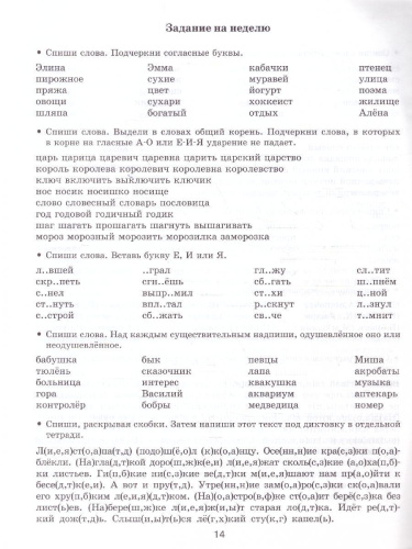 Русский язык 2 класс. Задания для повторения и закрепления учебного материала