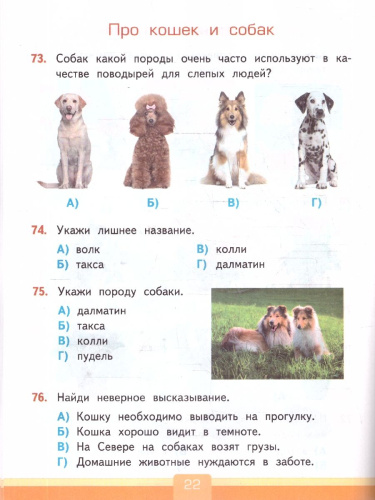 Окружающий мир 2 класс. Тесты. К учебнику А. А. Плешакова. ФГОС Новый