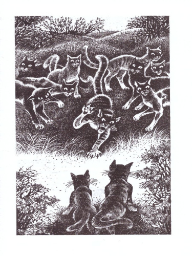 Гроза и тень "Видение теней" / Коты-воители