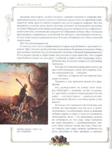 Лохматые истории. Рассказы о собаках