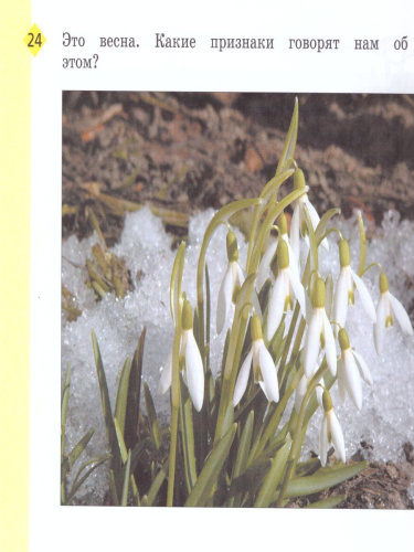 Изобразительное искусство 1 класс. Рабочая тетрадь. ФГОС