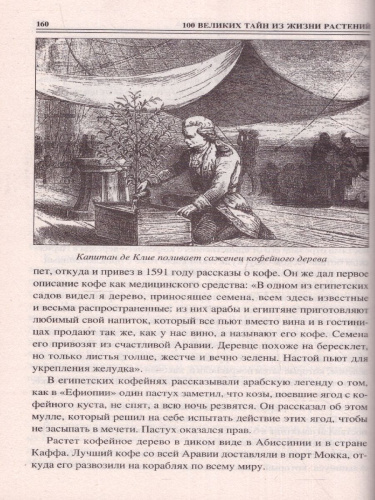 100 великих тайн из жизни растений. 100 великих
