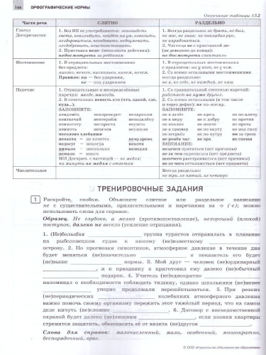 ЕГЭ 2025 Русский язык. Отличный результат