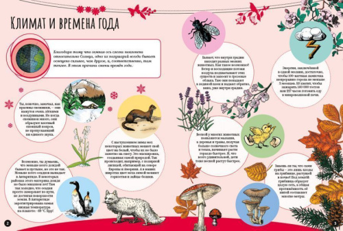 Чудеса природы Удивительный мир животных
