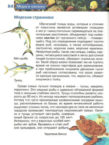 Моря и океаны