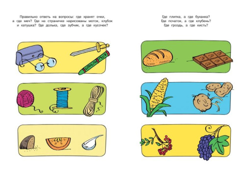 Развиваем речь (4-5 лет) / Дошкольная мозаика