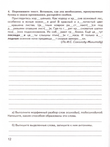 ВПР Русский язык 6 класс. Контрольные измерительные материалы. ФГОС