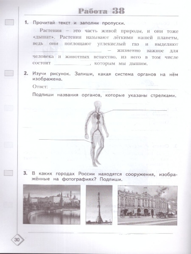 Окружающий мир. 3 класс. Готовимся к ВПР. Новый ФП. ФГОС