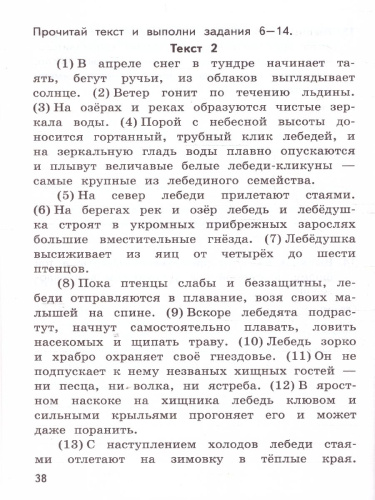ВПР Русский язык 4 класс. Тренажер. Подготовка к ВПР. ФГОС