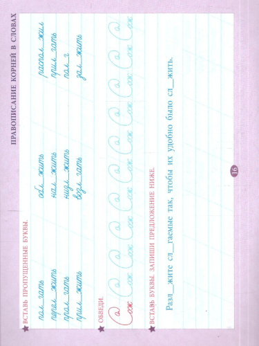 Русский язык 5 класс. Проверка орфографии и чистописания