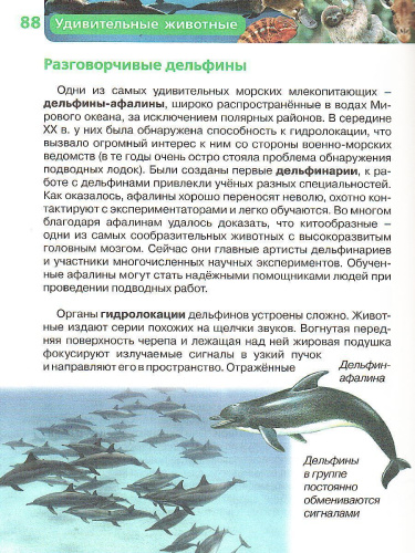 Удивительные животные (ДЭР)
