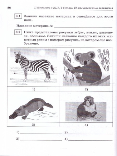 ВПР-2023. Русский язык, математика, окружающий мир 3 класс. Подготовка к ВПР. 15 тренировочных вариантов