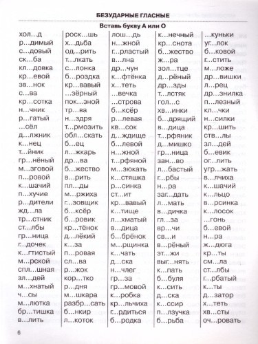 3000 примеров по русскому языку 2 класс. Крупный шрифт