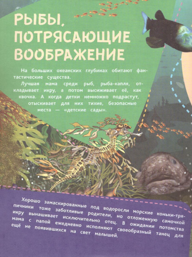 Подводные тайны: Удивительные жители морей, основы водной жизни, загадки океанских глубин (100 наклеек)