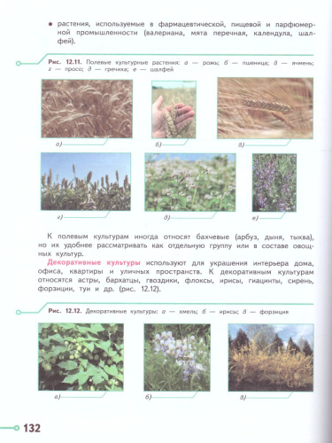 Технология 5 класс. Учебник