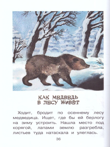 Мои питомцы