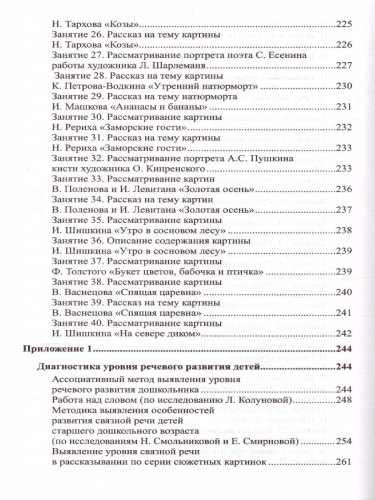 Развитие речи детей 6-7 лет Подготовительная к школе группа