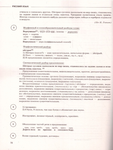ВПР Русский язык 6 класс. Сборник вариантов проверочных работ