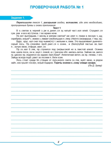 Подготовка к ВПР. Русский язык 6 класс. Типовые проверочные работы