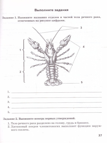 Криксунов Биология 8 кл. Тетрадь для лабораторных работ. ФГОС (РС)