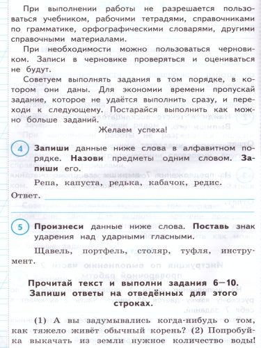 ВПР за курс начальной школы. Русский язык 2 класс. Практикум