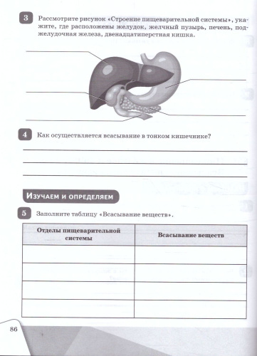 Биология 8 класс. Рабочая тетрадь