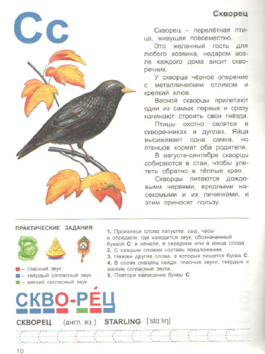 Тетрадь общения и развития детей "Перелетные птицы"