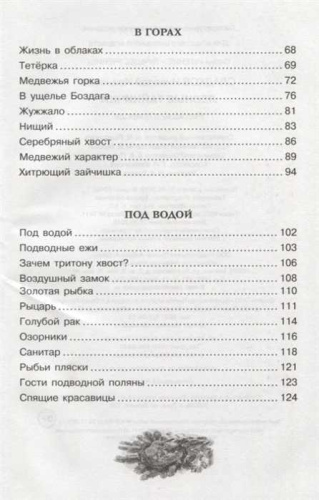 Лесные тайнички. Чтение - лучшее учение