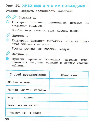 Окружающий мир 2 класс. Рабочая тетрадь в 2-х частях. Часть 1