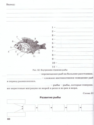 Биология 8 класс. Рабочая тетрадь. ФГОС