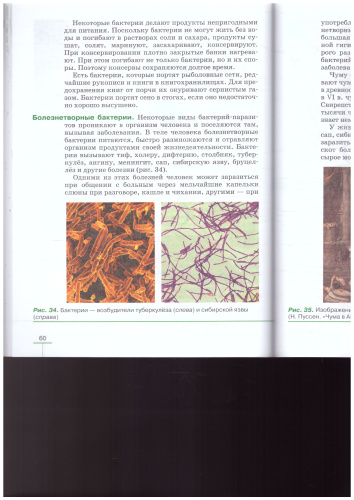 Биология 5 класс. Учебник. Вертикаль. ФГОС